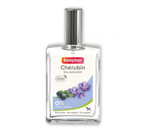 Beaphar Cherubin perfume for dogs, 50 ml