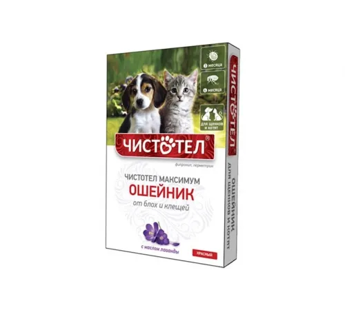 Chistotel maximum collar kitten and puppy 45 cm red (от вшей, блох, клещей и глистов)