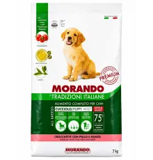 Morando puppy with chicken and beef (Toyuq və mal əti) 