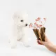 Nature's Protection snack junior all breed white dog brain development salmon 110 g