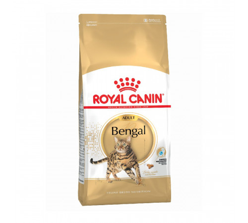 Royal Canin bengal adult cat dry 2 kg 