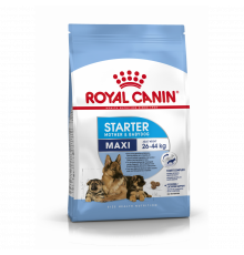 Royal Canin maxi starter dog dry (hamilə və bala itlər üçün)