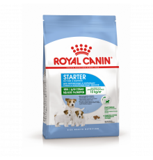 Royal Canin mini starter dog dry (hamilə və bala itlər üçün)
