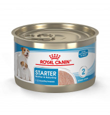 Royal Canin starter dog can 195 g (hamilə və bala itlər üçün)