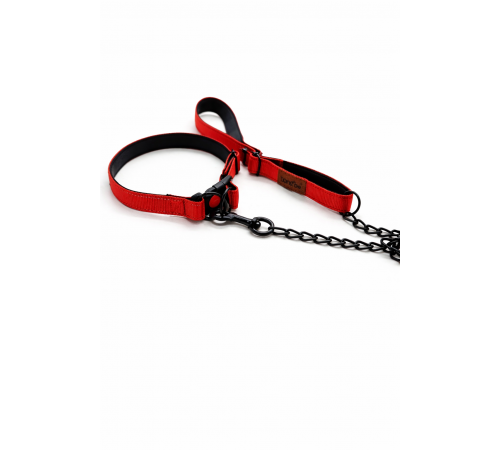 Dog leash and collar set (Red, 664)