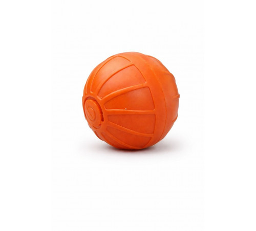 Interactive cat ball (1193)